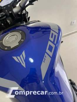 MT 09