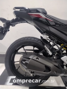 FZ25 Fazer 250
