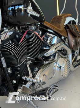 SOFTAIL DELUXE FLSTN