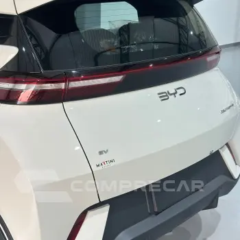 Dolphin Mini (Elétrico)