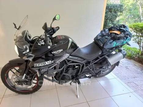 Tiger 800 Xrx