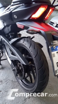DOMINAR 250