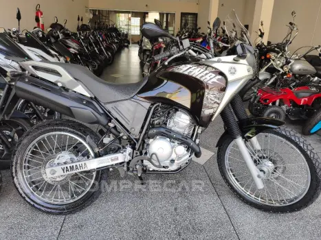 Yamaha XTZ 250 TENERE/TENERE BLUEFLEX