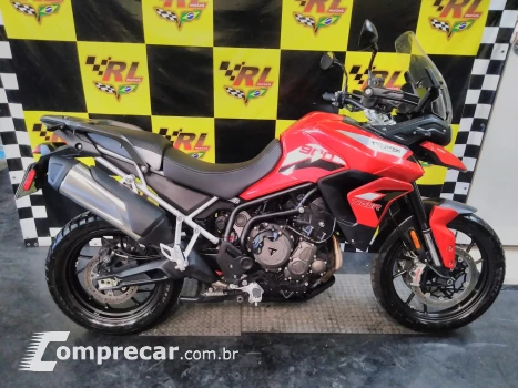 Tiger 900 gt pro