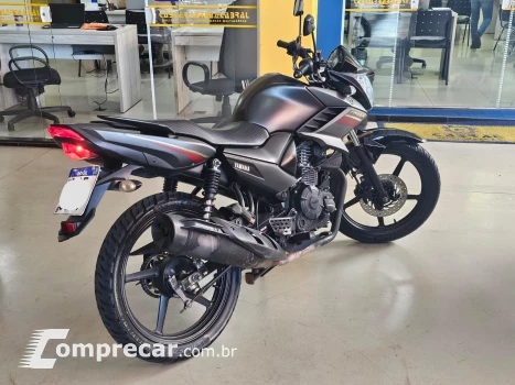 YS 150 Fazer