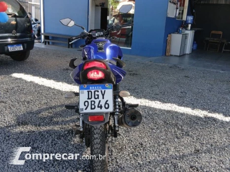 YS 150 FAZER SED - Street
