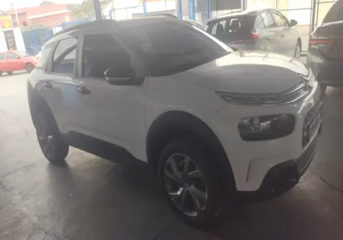 C4 Cactus