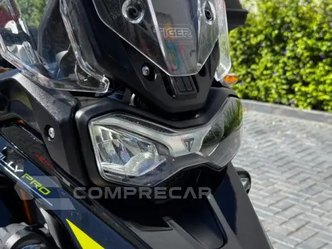 TIGER 900 RALLY PRO - Trail