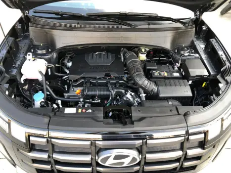 Creta Platinum 1.0 TB 12V Flex Aut.