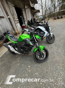 Z500