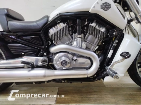 V Rod Custom 1250 cc