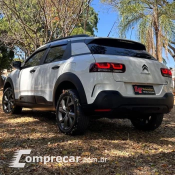 C4 CACTUS FEEL AT