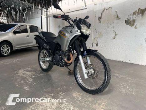XTZ 250 TENERE/TENERE BLUEFLEX