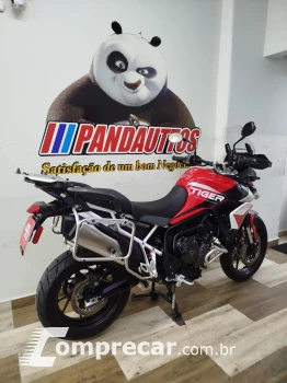 Tiger 900 GT ARAGÓN