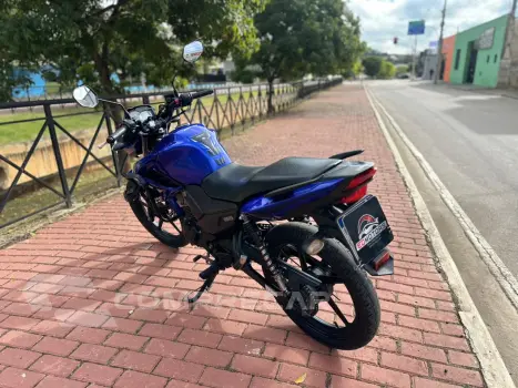 FAZER 150YS SED