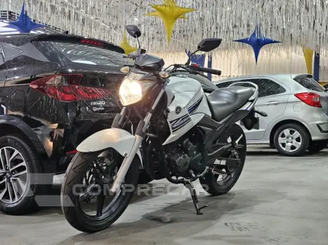 YS 250 FAZER/ FAZER L. EDITION /BLUEFLEX