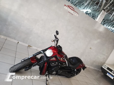 Night Rod Special 1250