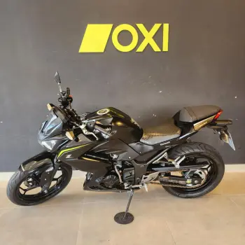 Z 300
