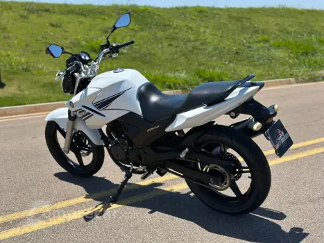 YS 250 FAZER BLUEFLEX