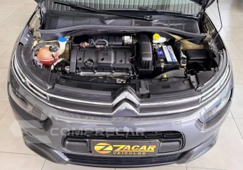 C4CACTUS FEEL BU