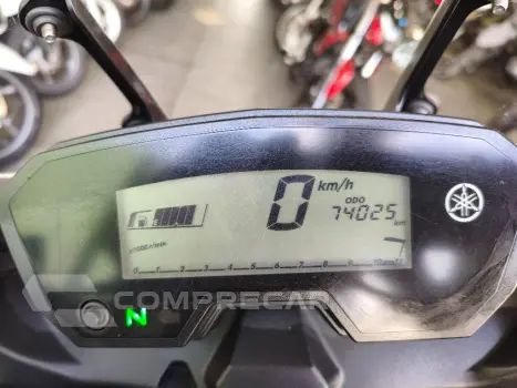XTZ 250 TENERE/TENERE BLUEFLEX