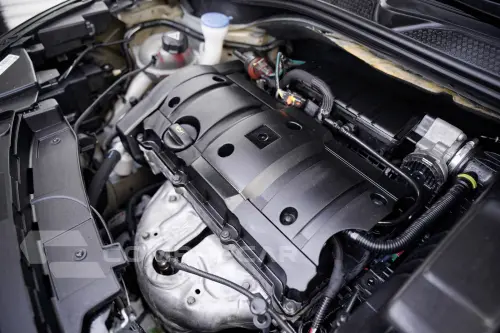 C4 CACTUS FEEL 1.6 16V Flex Aut.