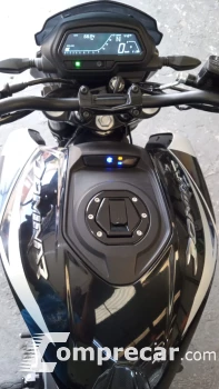 DOMINAR 250