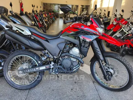 XTZ 250 LANDER 249cc/LANDER BLUEFLEX/ABS