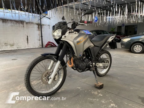 Yamaha XTZ 250 TENERE/TENERE BLUEFLEX