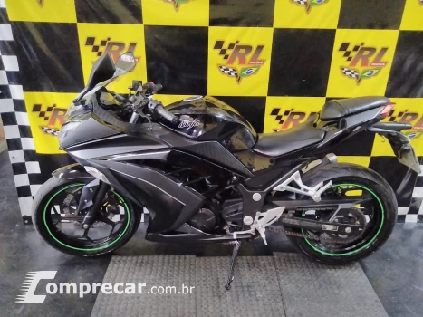 Ninja 300