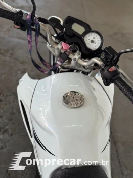 YS 250 FAZER/ FAZER L. EDITION /BLUEFLEX