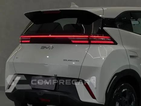 Dolphin EV GS (Elétrico)