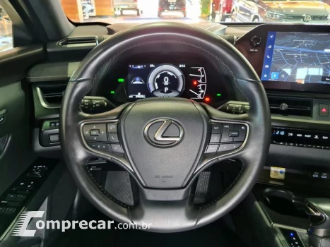 UX250H LUXURY