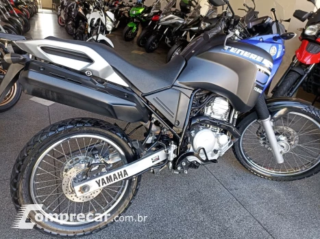 XTZ 250 TENERE/TENERE BLUEFLEX