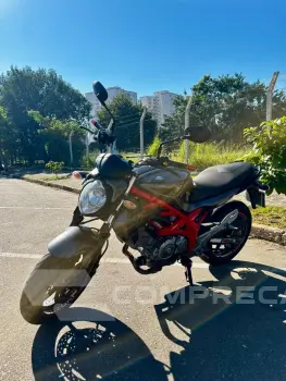 SUZUKI Gladius 650