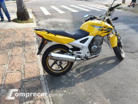 Cbx Twister 250