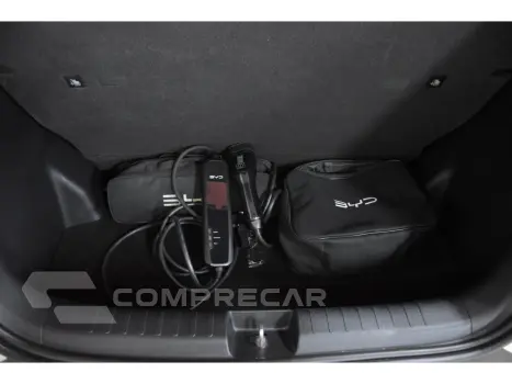 DOLPHIN MINI GS EV