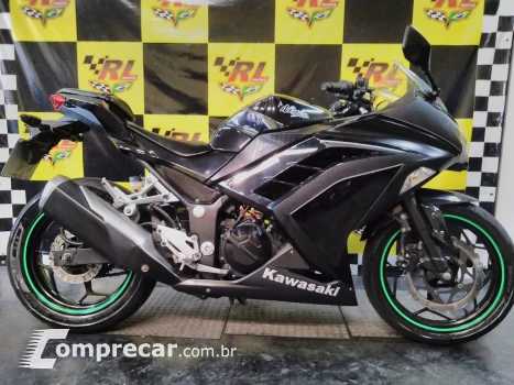 Ninja 300