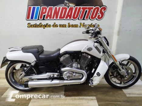 V Rod Custom 1250 cc