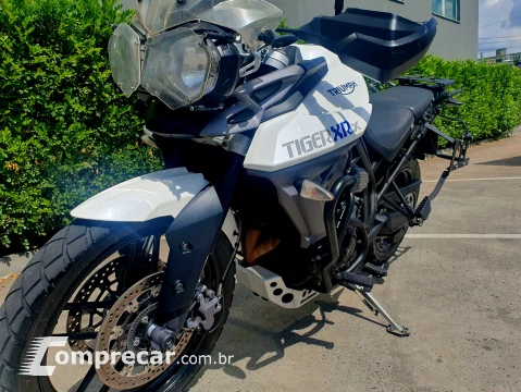 Triumph Tiger XRXL 800