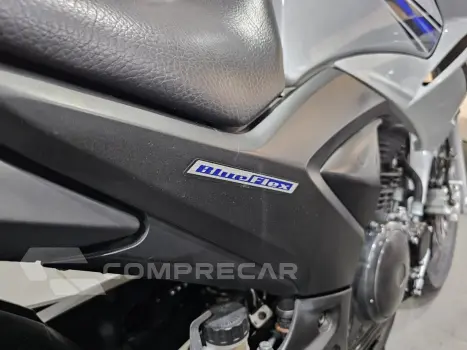 YS 250 FAZER/ FAZER L. EDITION /BLUEFLEX