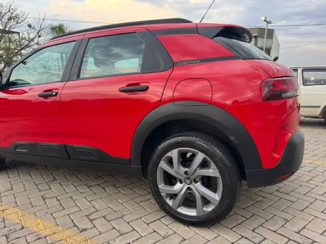 C4 Cactus Feel AT