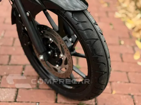 FZ25 FAZER