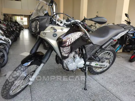 XTZ 250 TENERE/TENERE BLUEFLEX