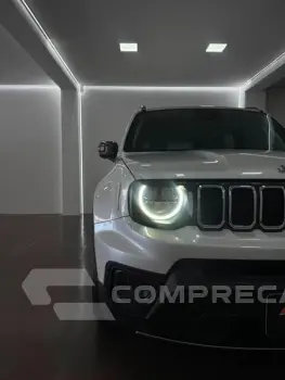 RENEGADE LGTD T270