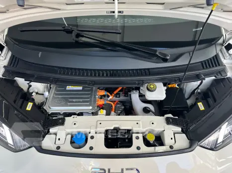 Dolphin Mini (Elétrico)