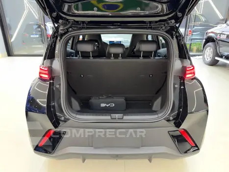 DOLPHIN MINI