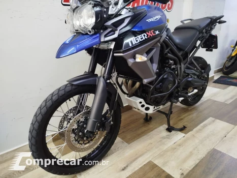 Tiger 800 XCX ABS