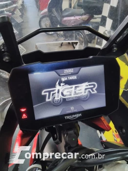 Tiger 900 gt pro