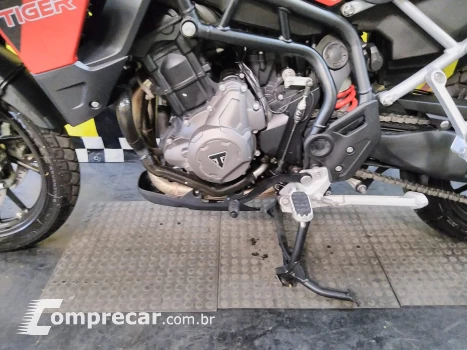 Tiger 900 gt pro